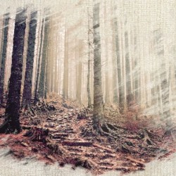 Registre Cordelière YRIS