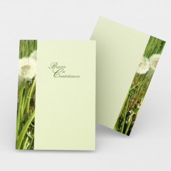 Registre Cordelière YRIS