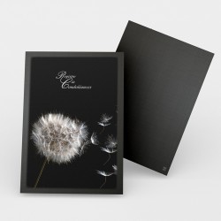 Registre Cordelière YRIS