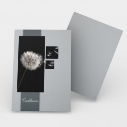 Registre Cordelière YRIS