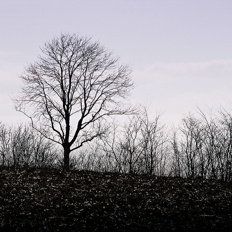 Registre Cordelière YRIS
