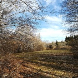 Registre Cordelière YRIS