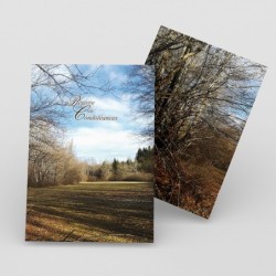 Registre Cordelière YRIS