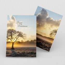 Registre Cordelière YRIS