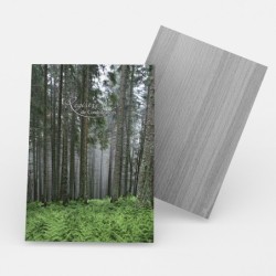 Registre Cordelière YRIS