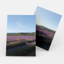 Registre Cordelière YRIS