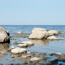 Registre Cordelière YRIS