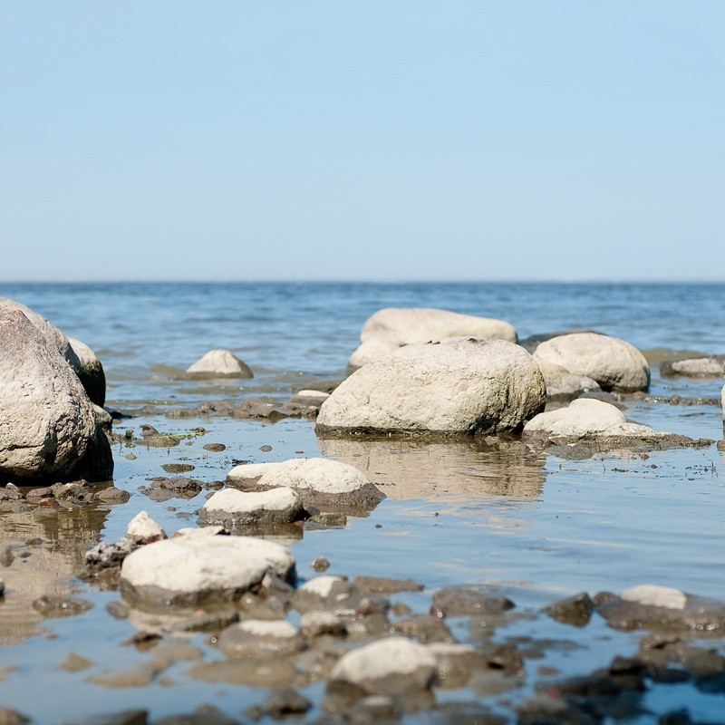 Registre Cordelière YRIS