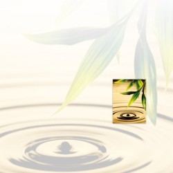 Registre Cordelière YRIS