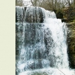 Registre Cordelière YRIS