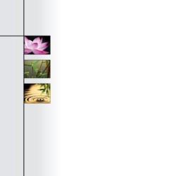 Registre Cordelière YRIS