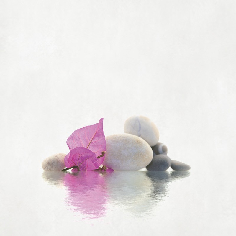 Registre Cordelière YRIS