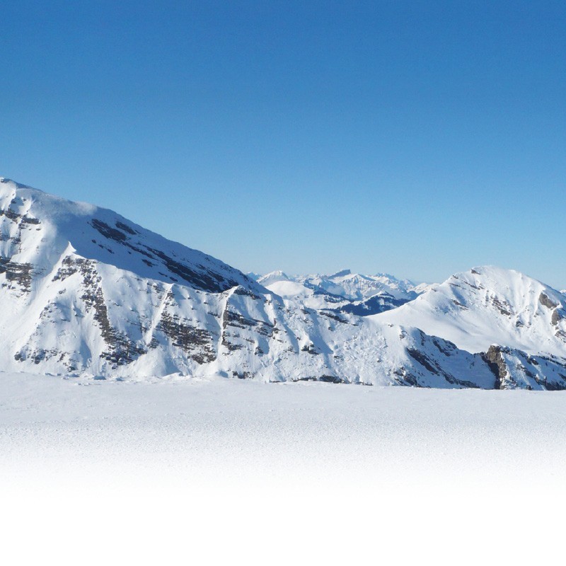 Registre Cordelière YRIS