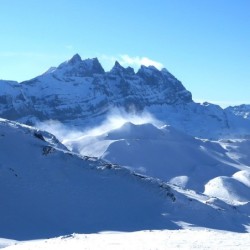 Registre Cordelière YRIS