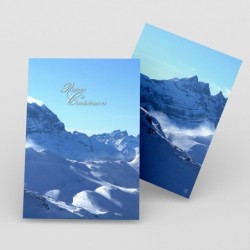 Registre Cordelière YRIS