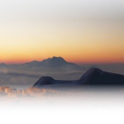 Registre Cordelière YRIS