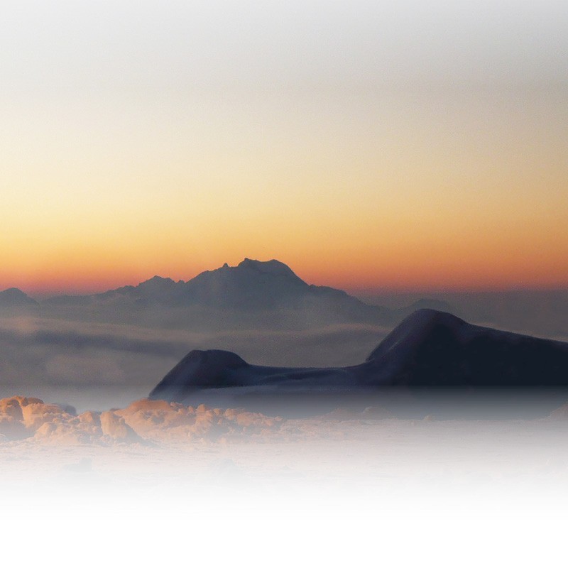 Registre Cordelière YRIS