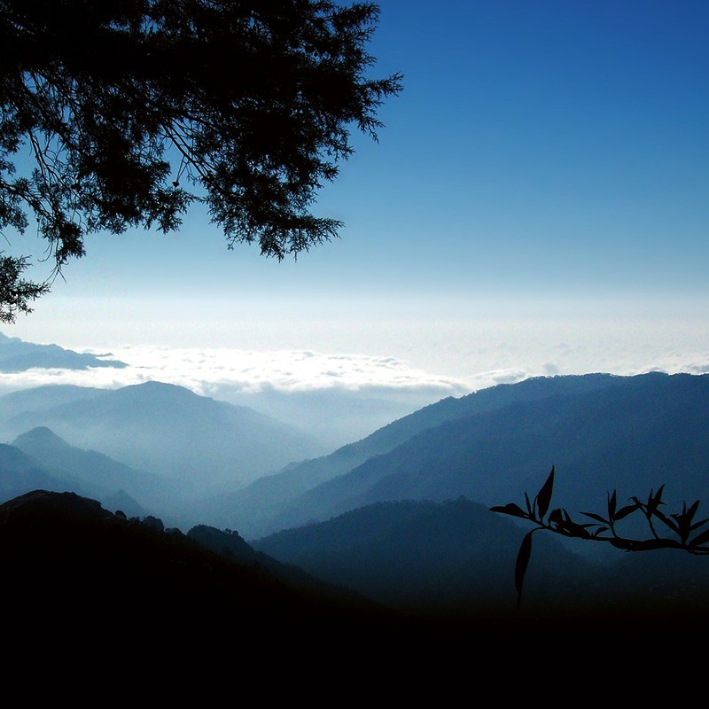 Registre Cordelière YRIS