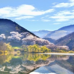 Registre Cordelière YRIS