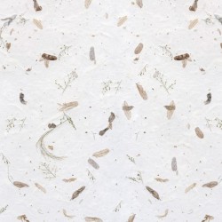 Registre Cordelière YRIS