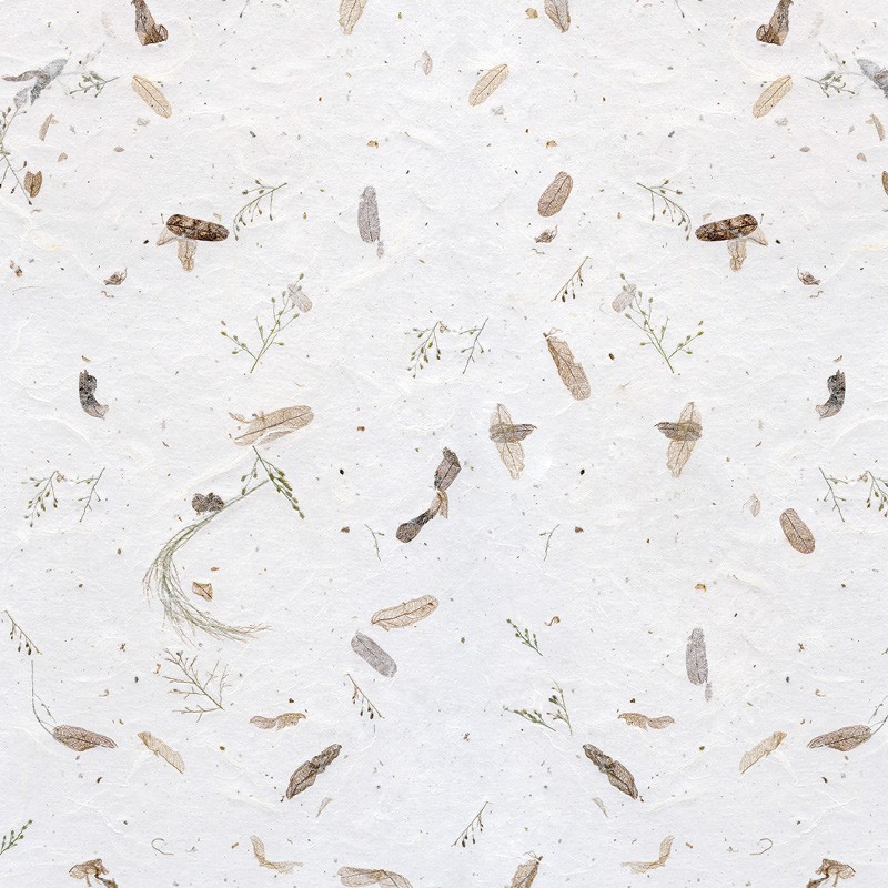 Registre Cordelière YRIS