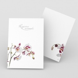 Registre de Condoléances - Desplanches