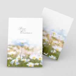 Registre de Condoléances - Desplanches