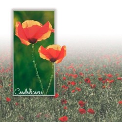 Registre de Condoléances - Desplanches