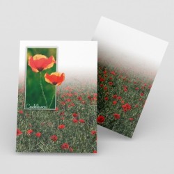 Registre de Condoléances - Desplanches