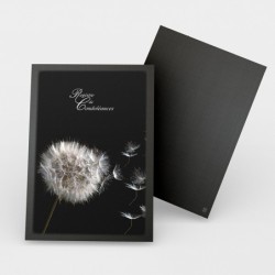 Registre de Condoléances - Desplanches