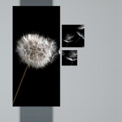 Registre de Condoléances - Desplanches