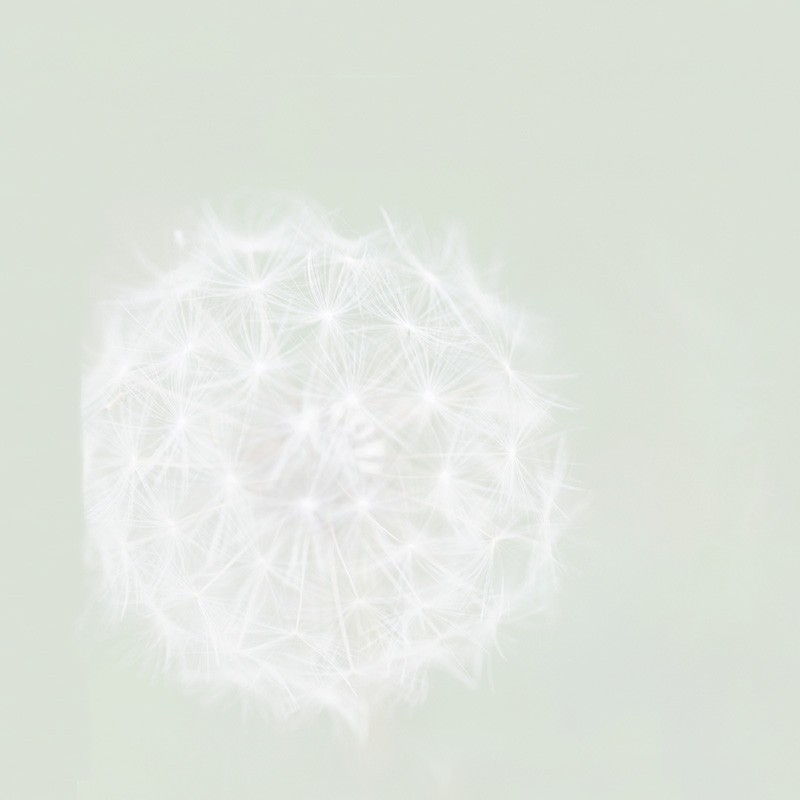 Registre de Condoléances - Desplanches