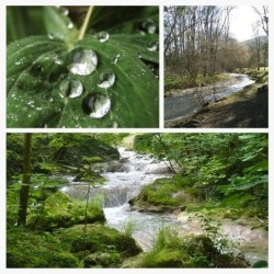 Registre de Condoléances - Desplanches