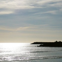 Registre de Condoléances - Desplanches