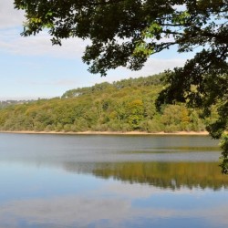 Registre de Condoléances - Desplanches