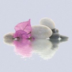 Registre de Condoléances - Desplanches