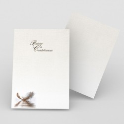 Registre de Condoléances - Desplanches