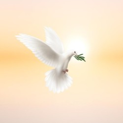 Registre de Condoléances - Desplanches