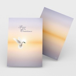 Registre de Condoléances - Desplanches