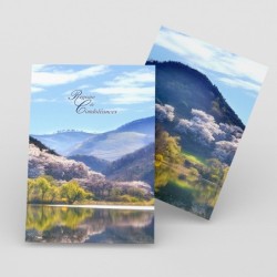 Registre de Condoléances - Desplanches