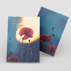 Registre de Condoléances - Desplanches