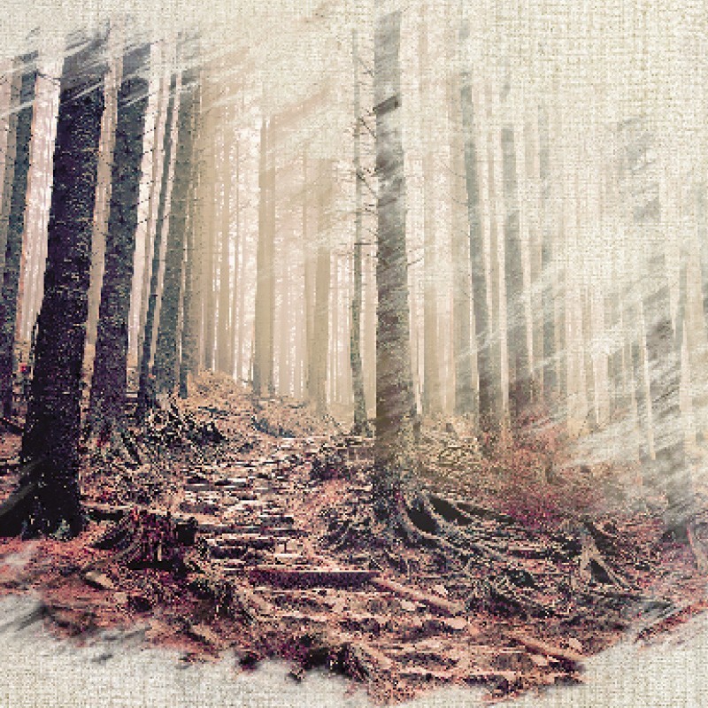 Registre de Condoléances - Desplanches