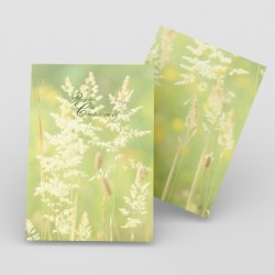 Registre de Condoléances - Desplanches