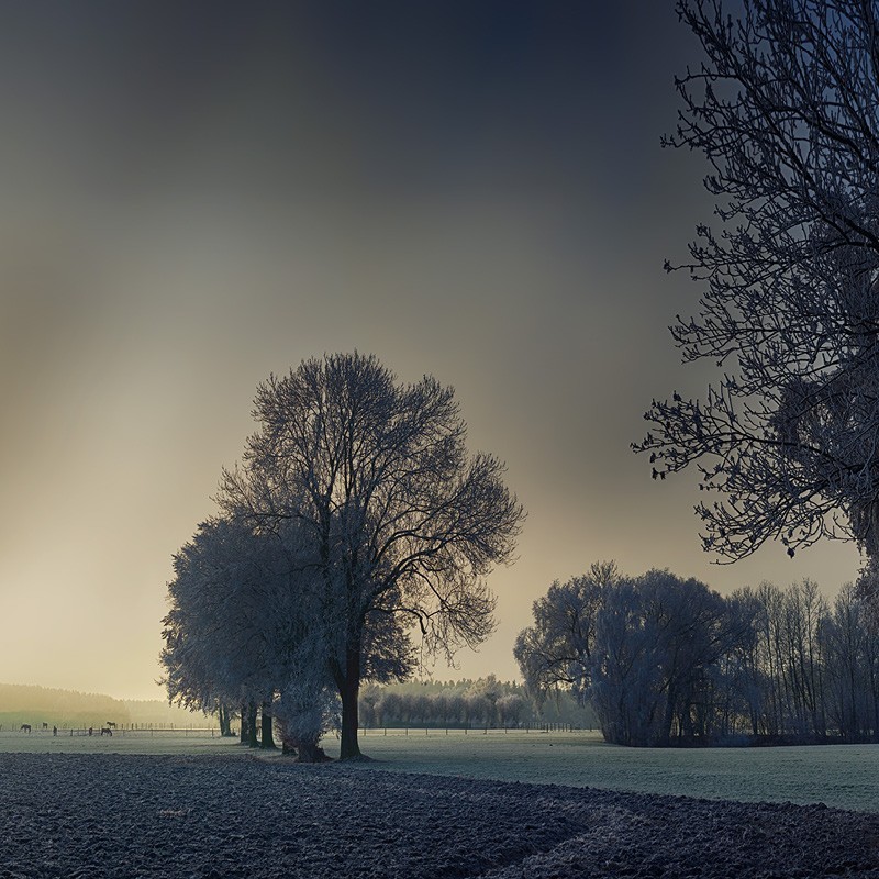 Registre de Condoléances - Desplanches