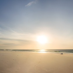 Registre de Condoléances - Desplanches