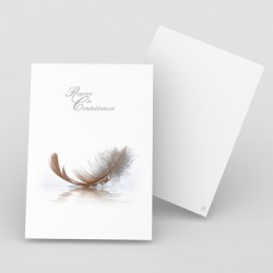 Registre de Condoléances - Desplanches