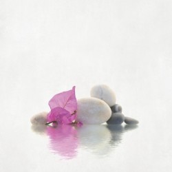 Registre de Condoléances - Desplanches