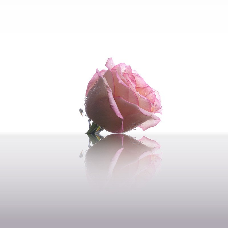 Registre de Condoléances - Desplanches