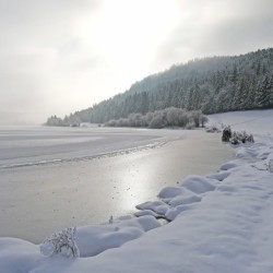 Registre de Condoléances - Desplanches