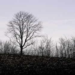 Registre de Condoléances - Desplanches